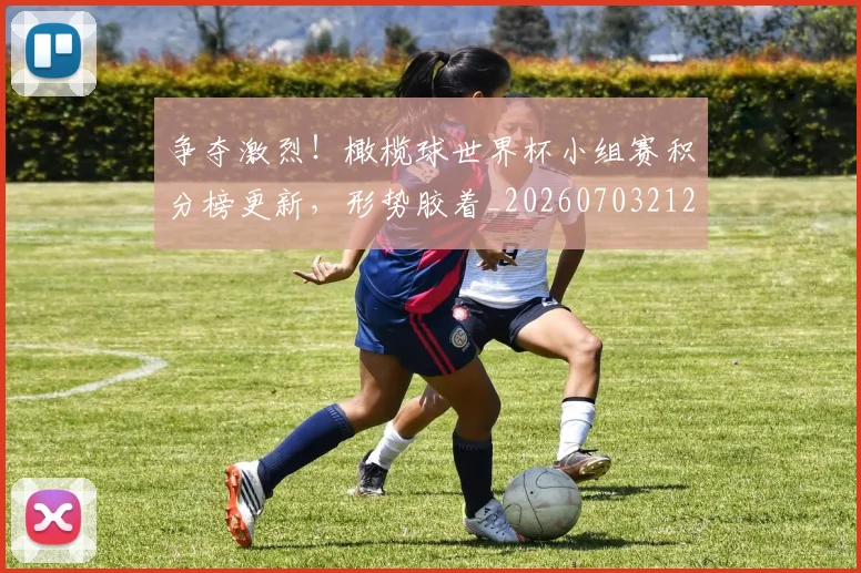 争夺激烈！橄榄球世界杯小组赛积分榜更新，形势胶着_20260703212805